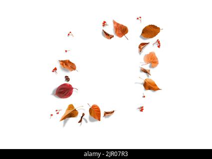 Composizione autunnale. Telaio fatto di foglie secche autunnali su sfondo bianco. Disposizione piatta, vista dall'alto, spazio di copia Foto Stock