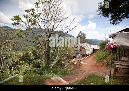 Insediamento Orang asli , strada delle Cameron Highlands Foto Stock