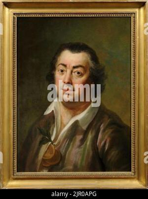 Toegeschreven aan Hendrik Pothoven - portret van Johannes le Francq van Berkhey (1729-1812) - S 210 Foto Stock