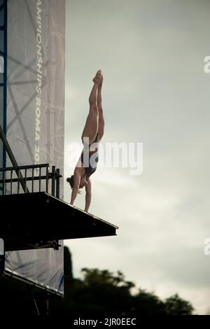 Roma, Roma, Italia. 19th ago, 2022. Plateau syncro finale uomini, final 3m donne, final 21m high diving. (Credit Image: © Gabriele Pallai/Pacific Press via ZUMA Press Wire) Foto Stock