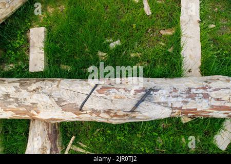 tradizionale collegamento longitudinale fisso di tronchi con due staffe in acciaio Foto Stock