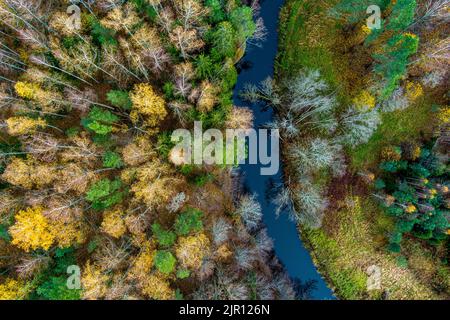Calma foresta fiume Aerial vista dall'alto verso il basso dal drone, tardo autunno con fogliame piccolo sugli alberi Foto Stock