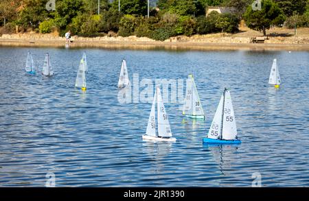 Barche a vela radiocontrollate e yacht partecipano a una gara su un lago nautico a Eastbourne, East Sussex, Regno Unito. Foto Stock