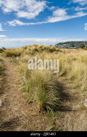 Tranquillo tratto di costa a Sumner Christchurch Nuova Zelanda Foto Stock