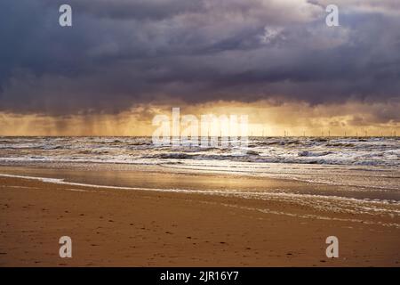 Vista sull'oceano al tramonto. Il cielo è nuvoloso con pioggia, le onde sono alte. Il sole illumina l'orizzonte. Riserva delle dune dell'Olanda del Nord, Foto Stock