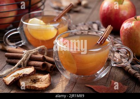 Tazza di sidro di mele con bastoncino di cannella e mela affettata su un tavolo di legno con mele fresche sullo sfondo Foto Stock