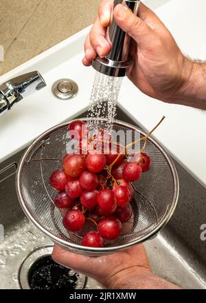 Lavare l'uva rossa in un setaccio sotto acqua corrente Foto Stock