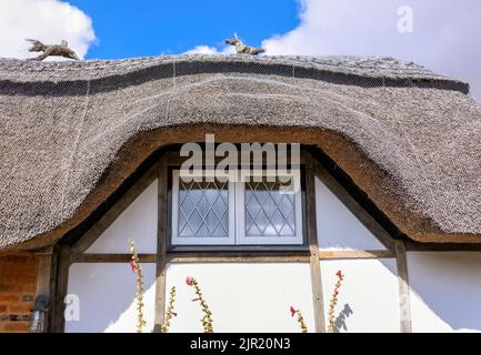 Primo piano del tetto di paglia, Flamstead, Hertfordshire Foto Stock