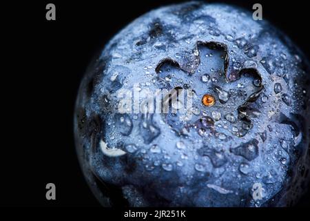 Primo piano di mirtillo in gocce d'acqua su sfondo scuro Foto Stock