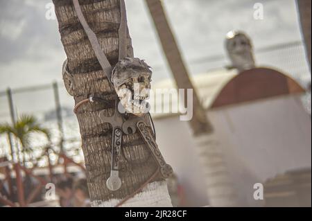 Cranio e coppia di coltelli attaccati ad una palma: Simbolo di morte e pirati. Foto Stock