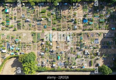 Drone View of an Allotment in Summer Droicy in Berkshire, Inghilterra, UK Foto Stock