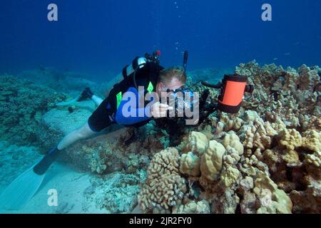 Un subacqueo (MR) linee su una scogliera con la sua fotocamera reflex in un Ikelite alloggiamento subacqueo e strobe. Costa di Kona, Hawaii. Foto Stock