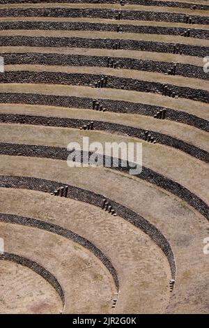 Un primo piano di terrazze circolari a Moray Inca rovine vicino Cusco, Perù Foto Stock