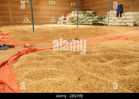 Stock di caffè in un magazzino in fattoria nella regione del Ruanda Foto Stock