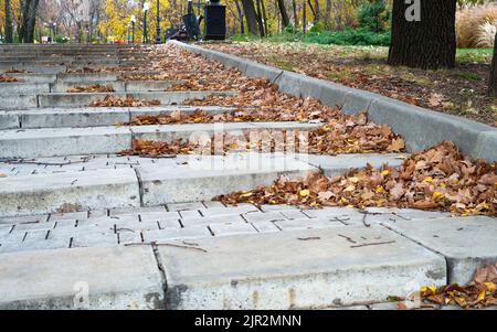 Vicolo con gradini nel parco autunnale Foto Stock