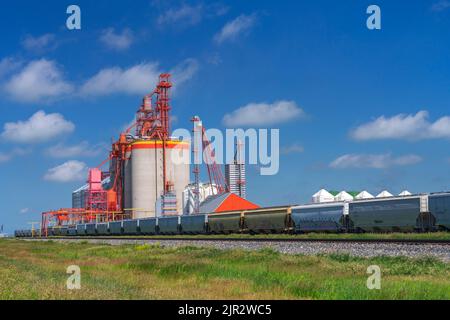 Il terminal dei cereali interni Richardson Pioneer a Weyburn, Saskatchewan, Canada. Foto Stock