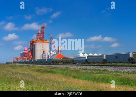 Il terminal dei cereali interni Richardson Pioneer a Weyburn, Saskatchewan, Canada. Foto Stock