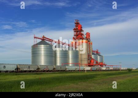 Il terminal dei cereali interni Richardson Pioneer vicino Estevan, Saskatchewan, Canada. Foto Stock