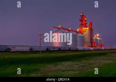 Il terminale di grano interno Richardson Pioneer illuminato di notte vicino Estevan, Saskatchewan, Canada. Foto Stock