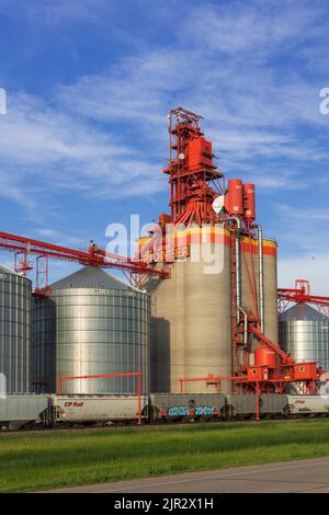 Il terminal dei cereali interni Richardson Pioneer vicino Estevan, Saskatchewan, Canada. Foto Stock