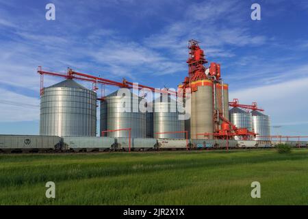 Il terminal dei cereali interni Richardson Pioneer vicino Estevan, Saskatchewan, Canada. Foto Stock