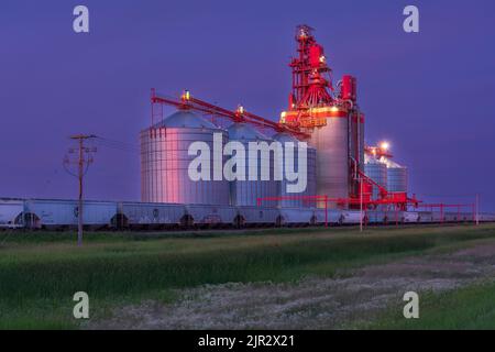 Il terminale di grano interno Richardson Pioneer illuminato di notte vicino Estevan, Saskatchewan, Canada. Foto Stock