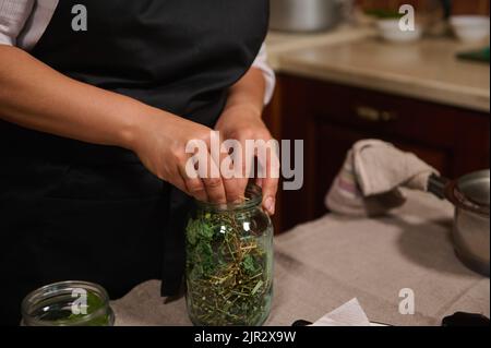 Primo piano delle mani della casalinga mettere erbe culinarie e l'ombrello aneto in un vaso mentre si fa il cibo conservato per l'inverno Foto Stock