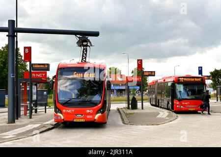 Edam, Paesi Bassi - Agosto 2022: Autobus elettrico presso la stazione degli autobus della città per ricaricare le batterie utilizzando un rapido collegamento per la carica aerea Foto Stock