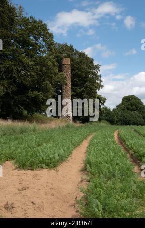 The Fish Tower, Barwick Park, Yeovil, Inghilterra, Regno Unito Foto Stock