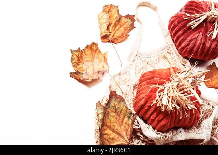 Composizione autunnale . Zucche cucite a mano e foglie autunnali. Posiziona per testo. Foto Stock