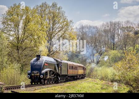 LNER 'A4' 4-6-2 No. 4498 'Sir Nigel Gresley' arriva ad Highley sulla Severn Valley Railway, Worcestershire Foto Stock