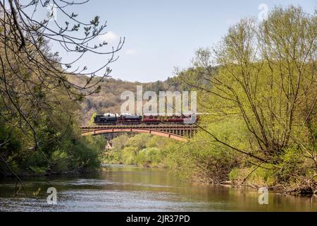 BR '57xx' 0-6-0PT No. 7714 e WD austerity 0-6-0ST No. 71516 'Welsh Guardsman' attraversare Victoria Bridge sul fiume Severn sulla Severn Valley Railw Foto Stock