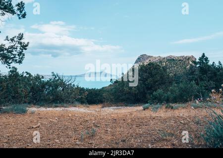 Grandi montagne con alberi e cespugli. Foto Stock