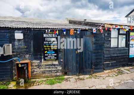 Pubblicità per le gite di pesca dello sgombro sul Cobb a Lyme Regis, una popolare città sul mare a Dorset sulla Jurassic Coast nel sud-ovest dell'Inghilterra Foto Stock