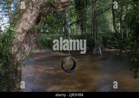 Oscillazione della corda fatta di un pneumatico sopra un ruscello nei boschi Foto Stock