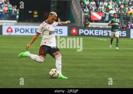 São PAULO, SP - 21.08.2022: PALMEIRAS X FLAMENGO - Marinho durante una partita tra Palmeiras e Flamengo valida per il 23rd° round del Campionato brasiliano 2022 che si tiene ad Allianz Parque a São Paulo questa domenica pomeriggio (21). (Foto: Yuri Murakami/Fotoarena) Foto Stock