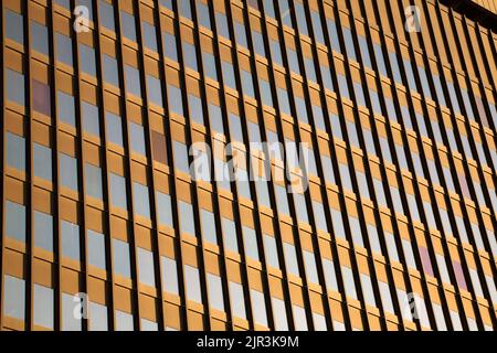 File di finestre di vetro sul moderno edificio a torre per uffici. Foto Stock
