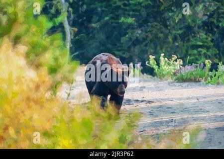 Dipinto ad acquerello creato digitalmente di un orso nero che cammina su una strada di ghiaia Foto Stock