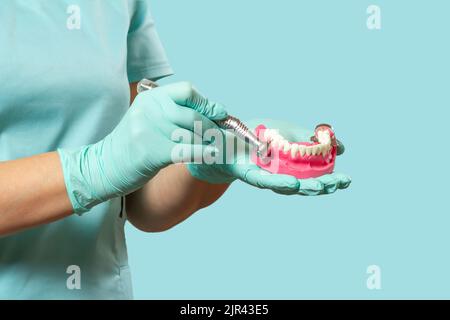 Testa del manipolo odontoiatrico ad alta velocità con bur e disposizione della mandibola umana nelle mani del dentista. Foto Stock