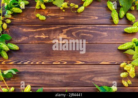 Confine da rami di luppolo verde su sfondo di legno rustico scuro. Concetto di produzione di birra. Ingrediente per la produzione di birra. Estrazione, messa a fuoco selettiva. Foto Stock