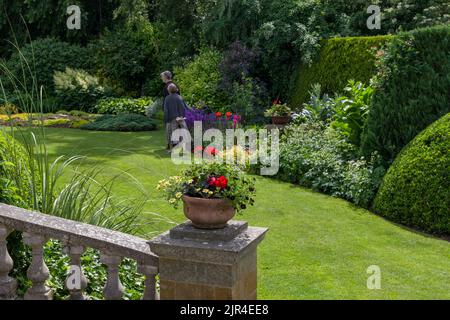 Tipico giardino suburbano inglese in estate posato su prato, confini erbacei e alberi, Gayton villaggio, Northamptonshire; parte di giardino aperto schema Foto Stock