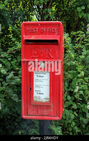 Un rosso brillante e R Post Box numero PL20 597D, nel piccolo villaggio Devon di Bere Ferrers incorniciato da foglie. Un montante GR VI di scatola della lampada. Foto Stock