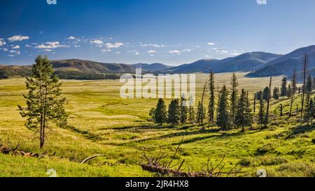 Valle Grande, Cerro del Medio sulla sinistra, Cerro de los Posos in lontananza, presso la Valles Caldera National Preserve, New Mexico, USA Foto Stock