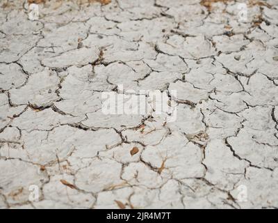 Terreno desertico secco osseo che presenta crepe nel terreno duro bianco di Etosha pan Namibia Foto Stock