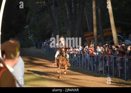 Barban, Croazia, 22 agosto 2022. Un cavaliere Petar Bencic si carica con una lancia durante la corsa dell'anello a Barban, Croazia, il 22 agosto 2022. La corsa dell'anello è un gioco del cavaliere in cui il cavaliere deve attraversare il percorso lungo 150 metri e con una lancia colpire l'anello costituito da due cerchi concentrici interconnessi in modo che ci siano quattro campi tra loro. Il primo record della gara sul ring risale al 1696. A quel tempo fu organizzato dalla famiglia loredana veneziana durante le fiere del villaggio di Barban in Istria, e i concorrenti erano per lo più nobili. Dopo il Foto Stock