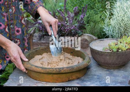 Piatto con argilla umida nel giardino come opportunità per uccelli e insetti di trovare materiale di nidificazione, Germania Foto Stock