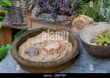 Piatto con argilla umida nel giardino come opportunità per uccelli e insetti di trovare materiale di nidificazione, Germania Foto Stock