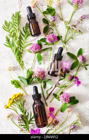 Medical fiori erbe oli essenziali in bottiglie. medicina alternativa. clover achillea tansy rosebay Foto Stock