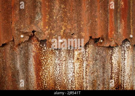 Primo piano di fogli di ferro arrugginito corrugato sul lato di una vecchia capanna Quesonset Foto Stock