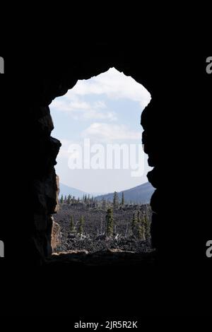 Una vista degli alberi e del flusso di lava come si vede da una finestra dell'Osservatorio Dee Wright al Passo McKenzie in Oregon, USA. Foto Stock